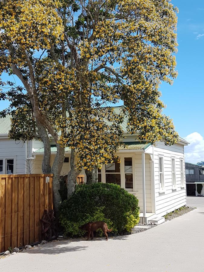 Abbey Court Motel Coromandel Екстериор снимка