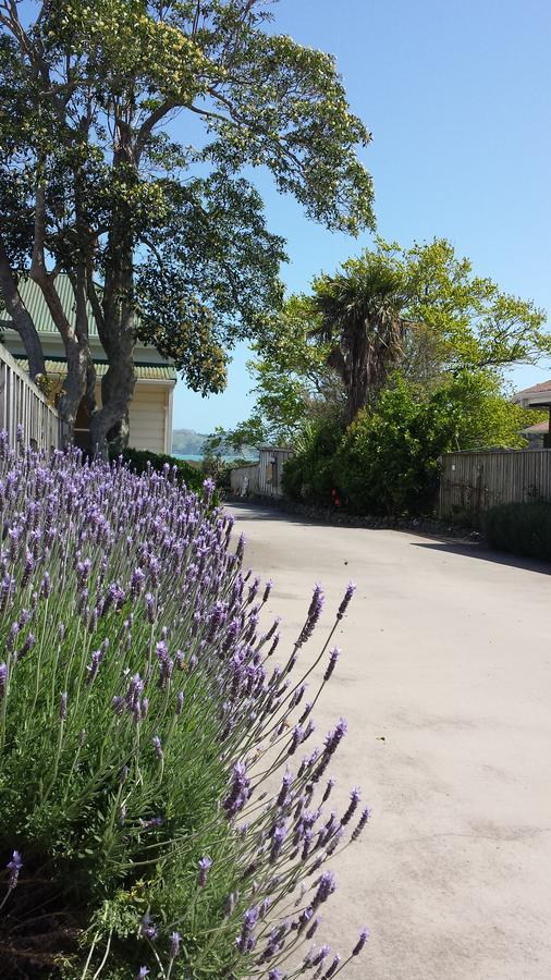 Abbey Court Motel Coromandel Екстериор снимка