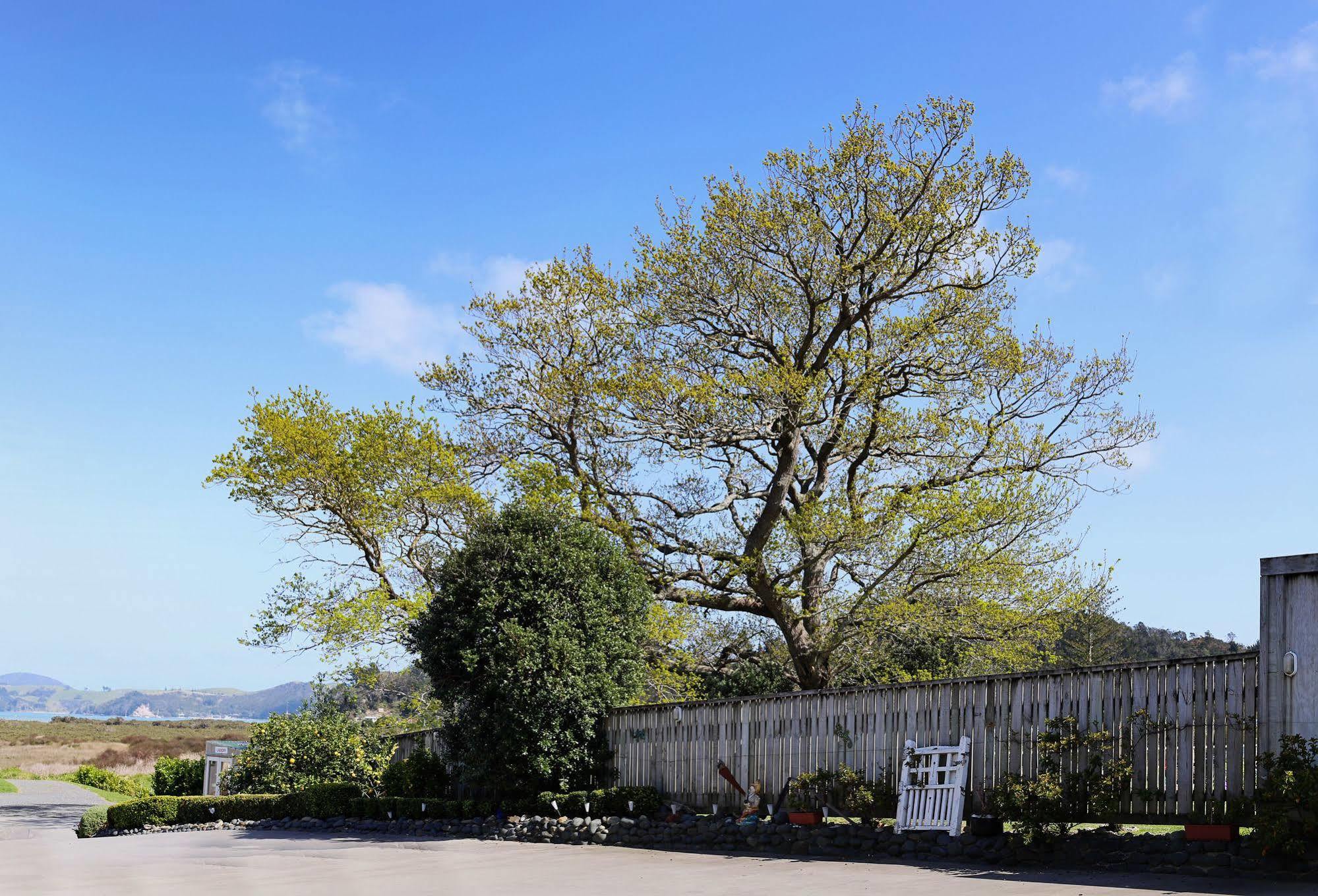 Abbey Court Motel Coromandel Екстериор снимка