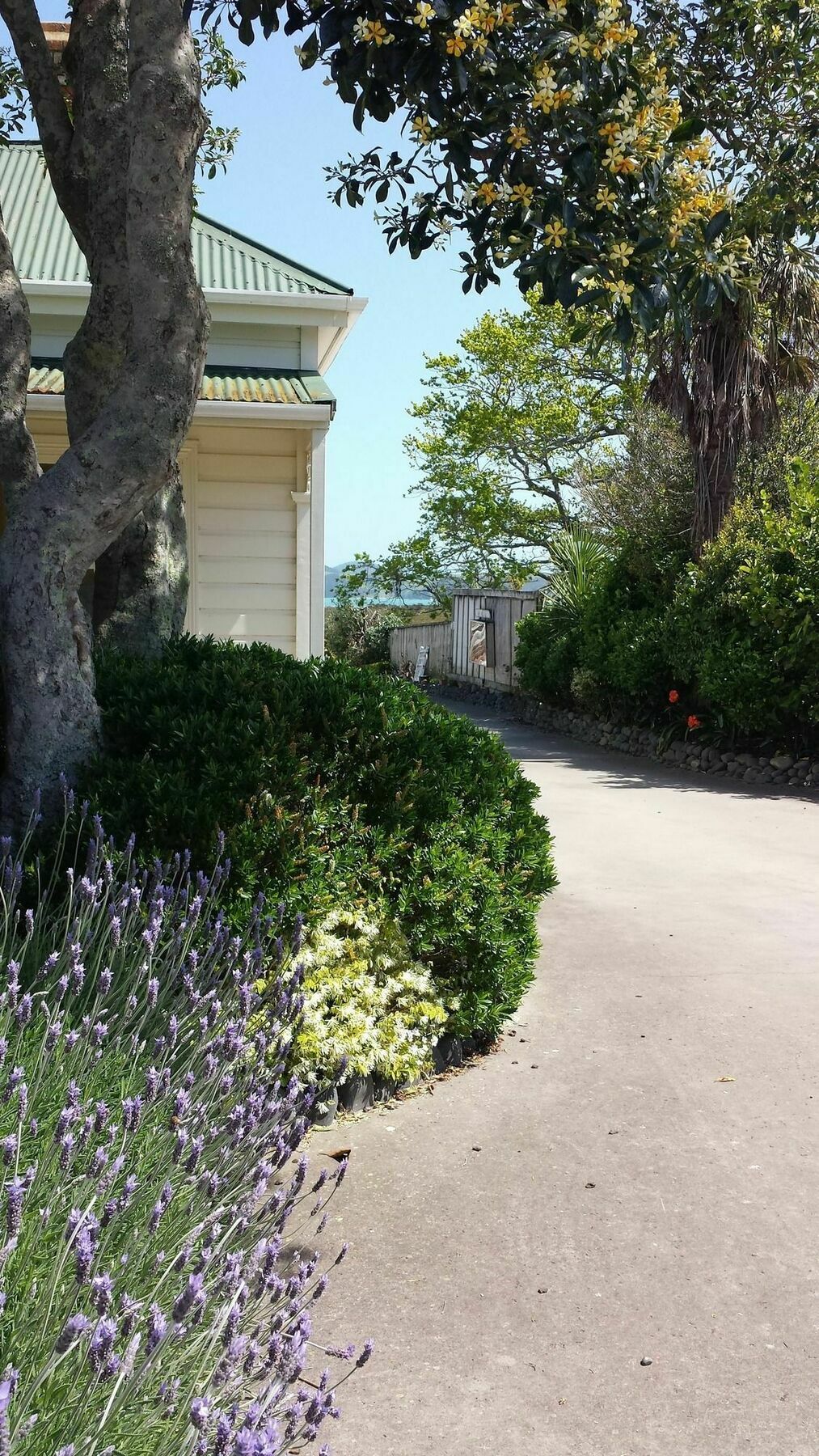 Abbey Court Motel Coromandel Екстериор снимка